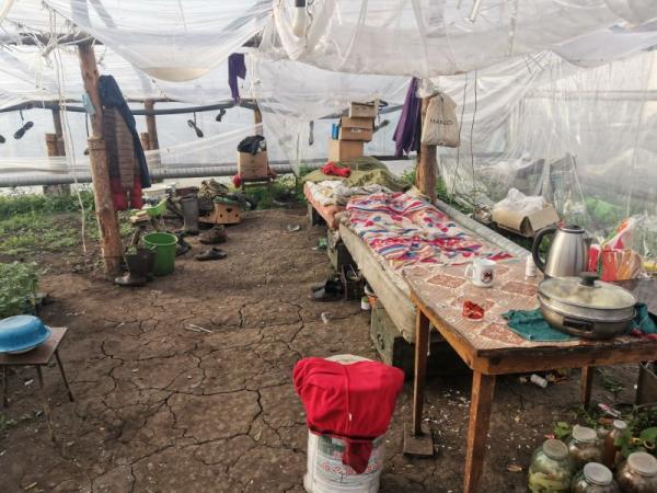 18 незаконных мигрантов выявлены в Чебаркульском районе - Южноуралец - Газета