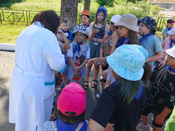 Детский лагерь посетили сотрудники Госавтоинспекции - Южноуралец - Газета