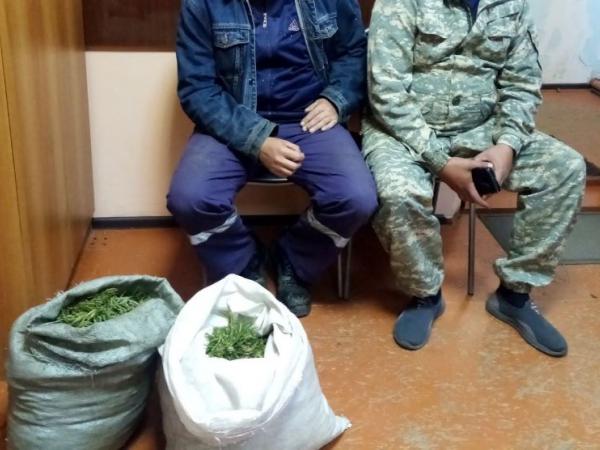 В Травниках задержаны мужчины с коноплёй - Южноуралец - Газета