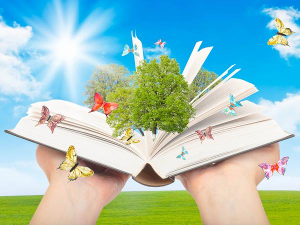 «Лето знаний» для учителей и учеников - Южноуралец - Газета