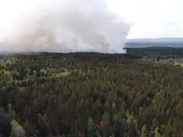 В Челябинской области началась подготовка к пожароопасному сезону 2024 года - Южноуралец - Газета